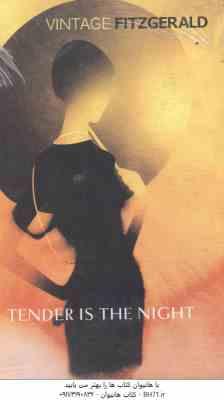 TENDER IS THE NIGHT ( SCOTT FITZGERALD )