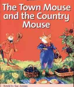 The Town Mouse and the Country Mouse ( Sue Arengo )