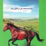 وقتی که آرزوها نمی میرند ( محمدعلی اسماعیل زاده )