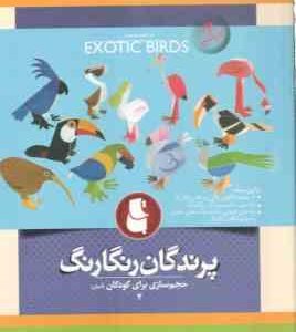 پرندگان رنگارنگ ( حجم سازی آسان برای کودکان 4 )