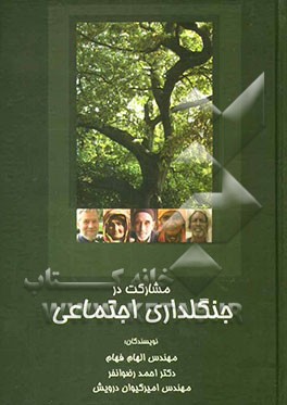 مشارکت در جنگلداری اجتماعی