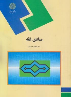 مبادی فقه ( سید محمد صدری )