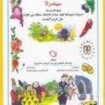 شب و خواب و قصه : سیندرلا و 4 قصه دیگر