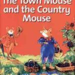 The Town Mouse and the Country Mouse ( Sue Arengo )