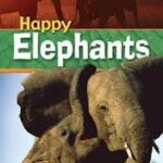 Happy Elephants