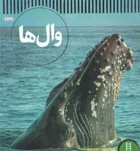 وال ها ( واسیلی پاپاستاورو محمدرضا افضلی ) شاهد عینی