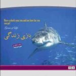 بازی زندگی / متن دو زبانه