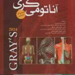 آناتومی گری تنه 1 : 2024 ( ریچارد ال دارک رضا شیرازی حمزه بادلی سرکلا )