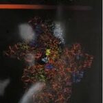 اصول بیوشیمی دامی ( مهندس شادی کیانوش )