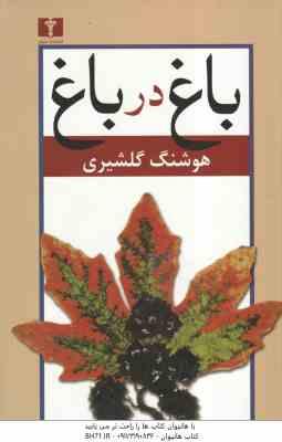 باغ در باغ ( هوشنگ گلشیری ) دوره 2 جلدی