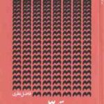 اقلیت ( فاضل نظری )