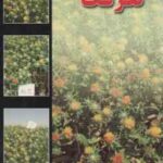 تغذیه گیاهی گلرنگ ( احمد بای بوردی )
