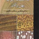 ساختمان چوب پهن برگان ( هارت جی مجید فرضی ) ماکروسکپی و میکروسکوپی