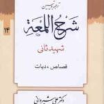 ترجمه و تبین شرح اللمعه جلد 14 ( شهید ثانی - علی شیروانی ) قصاص - دیات