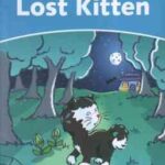 Lost Kitten : Level One ( Di Taylor