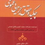 چکیده حقوق جزای عمومی با اصلاحات و اضافات ( صادق سلیمی ) جنگل