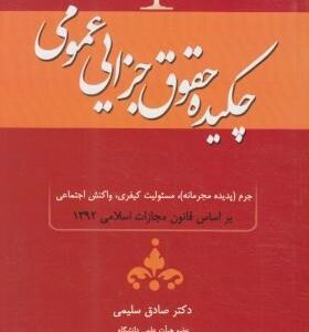 چکیده حقوق جزای عمومی با اصلاحات و اضافات ( صادق سلیمی ) جنگل