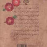 پری دخت ( حامد عسکری )