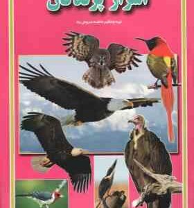اسرار پرندگان ( فاطمه سروش راد )