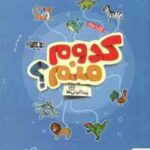 کدوم منم ؟ پیدا کردنی ها ( مهسا ایمانی ) کتاب های گردو 24