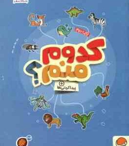 کدوم منم ؟ پیدا کردنی ها ( مهسا ایمانی ) کتاب های گردو 24