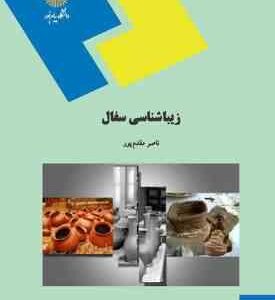 زیبا شناسی سفال ( ناصر مقدم پور )