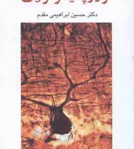 نوروپسیکولوژی ( حسین ابراهیمی مقدم )