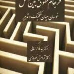 فرجام حقوق بین الملل نوسان میان تکنیک و تدبیر ( قاسم زمانی - آرامش شهبازی )