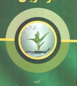 کار آفرینی ( سیده جمیله مدرسی - سید مهدی مدرسی سر یزدی )