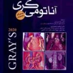 آناتومی گری جلد 1 : تنه - 2020 ( درک - وگل - میچل - شیرازی - اسفندیاری - باوی - صحت بخش - کظمی )