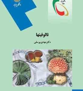 تالوفیتها ( مهدی یوسفی )