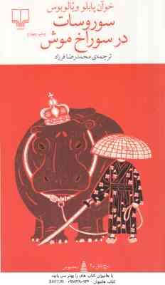 سور و سات در سوراخ موش ( خوآن پابلو ویالوبوس - محمد رضا فرزاد )