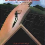 نظارت و راهنمایی تعلیماتی ( اچسون - دامین گال - بهرنگی )