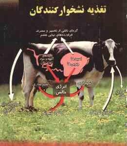 جنبه های فیزیولوژی تغذیه نشخوار کنندگان ( سوآن - طباطبایی )