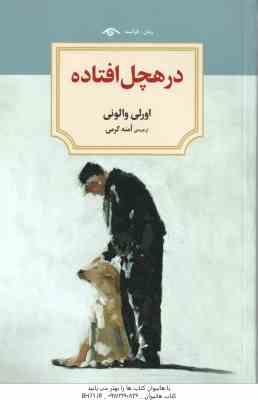 9786001041723.jpg در هچل افتاده ( اورلی والونی - آمنه کرمی )