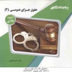 حقوق جزای عمومی 2 ( محمد اردبیلی - امیر یعقوبی ) گنجینه طلایی