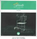 ترکیب بندی در عکاسی ( دیوید پرکل - اسماعیل عباسی - احسان قنبری )