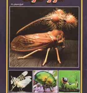 اسرار حشرات ( فروغ سروش راد )