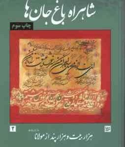 شاهراه باغ جان ها ( صالح واحدی ) هزار بیت و هزار پند از مولانا