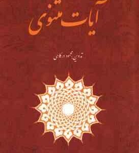 آیات مثنوی ( محمود درگاهی )