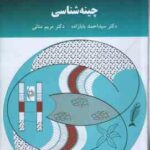 چینه شناسی ( سید احمد بابازاده - مریم منانی )