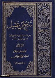 شرح ابن عقیل ( عبد الله بن عقیل - السید علی الحسینی ) جلد اول