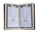 دیوان حافظ با خودکار و روان نویس ( پالتویی - چرم - کاغذ تحریر )
