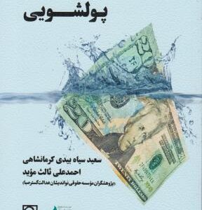 حقوق کیفری اقتصادی پولشویی ( سیاه بیدی کرمنشاهی - ثالث موید )