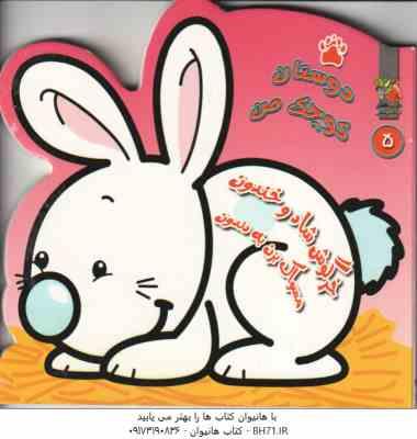 خرگوش شاد و خندون مسواک بزن به دندون 5 ( مهدی مردانی - سید سودابه احمدی )