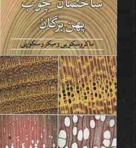 ساختمان چوب پهن برگان ( هارت جی - مجید فرضی ) ماکروسکپی و میکروسکوپی